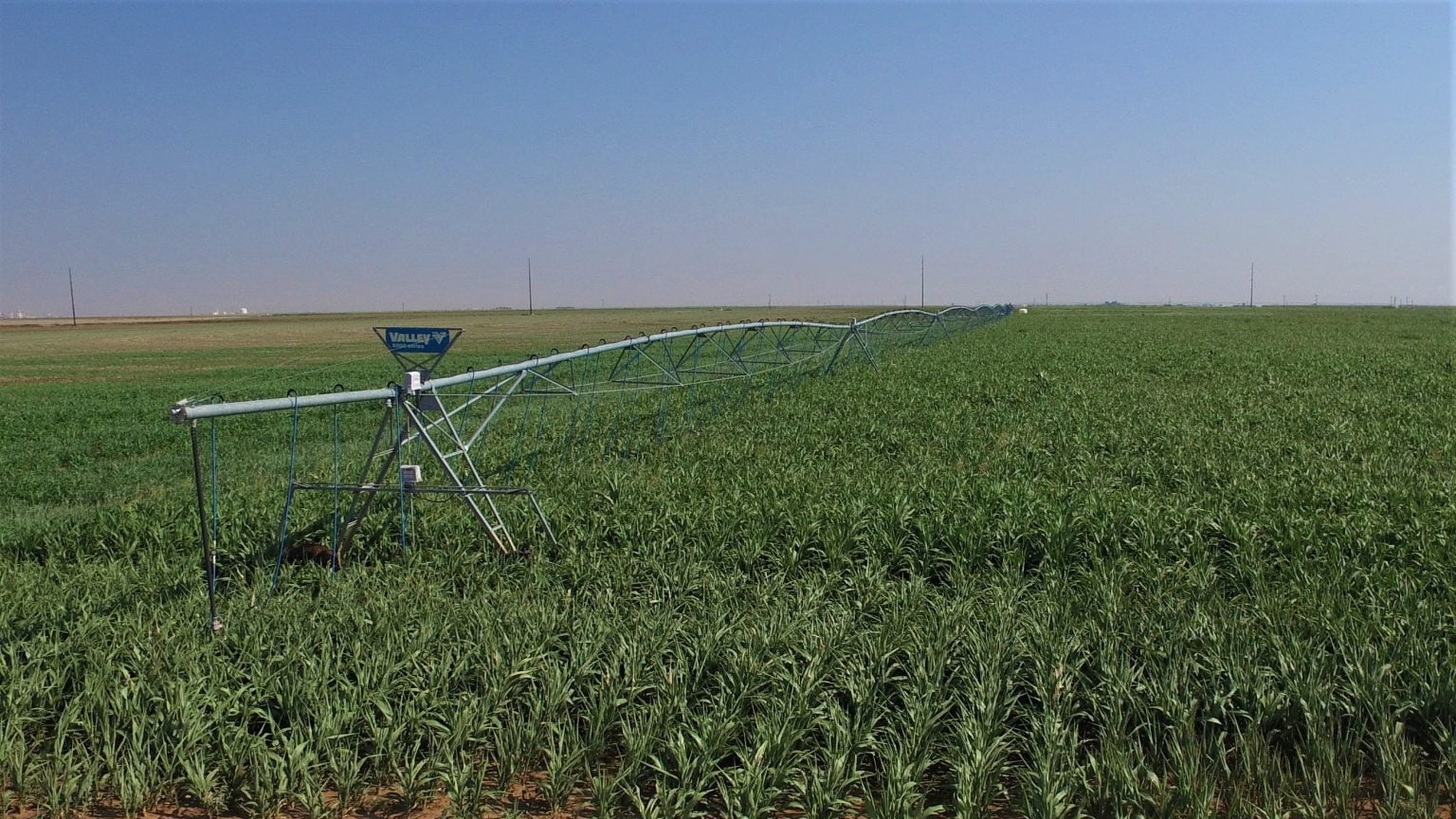 Irrigated Farmland Archives Clift Land Brokers